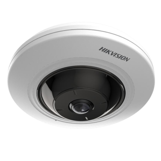 Hikvision DS-2CD2955G0-ISU