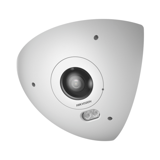 Hikvision DS-2CD6W65G1-IVS